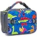 FlowFly Kids Lunch Bag, Durable Insulated School Lunch Box with Shoulder Strap and Bottle Holder, Water-resistant Thermal Small Lunch Cooler Tote for Teen Boys & Girls,Dinosaur