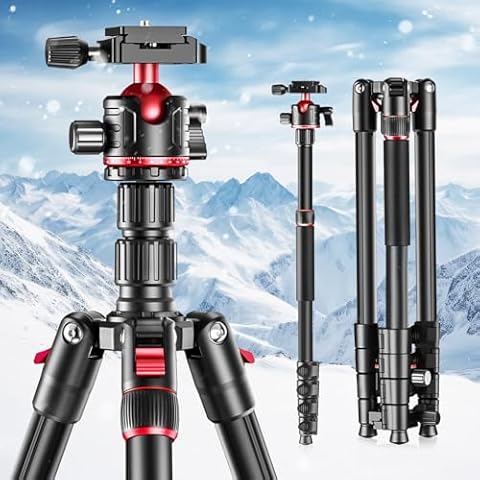 79 inch Camera Tripod Monopod for DSLR, Aluminum Travel Tripod with 360° Ball Head, QR Plate and Carry Bag, Compatible with Smartphone Canon Nikon Binoculars Laser Telescope (Weight 3Lbs, 13Lbs Load) Cover
