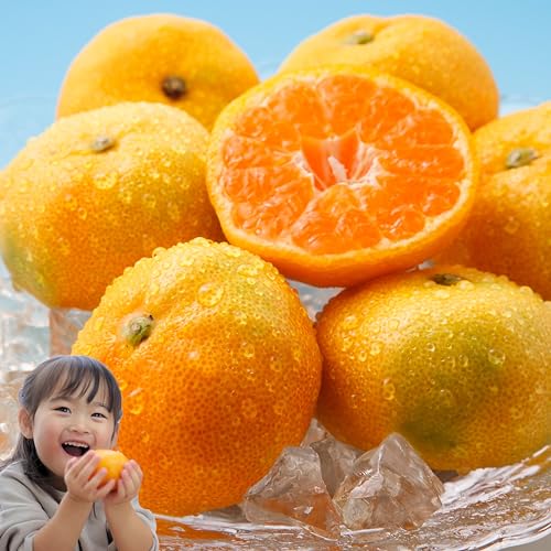 不知火 10kg」の人気商品一覧 | 安い商品を通販サイトから探す - 価格.com