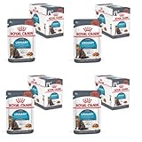 ROYAL CANIN