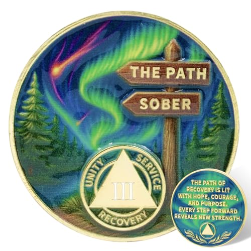 Leafence AA Sobriety Coin The Path Sober Coin One Day at a Time AA Medallion Inspiring Sobriety Token for AA Recovery Milestones (The Sober Path, 3 Years)