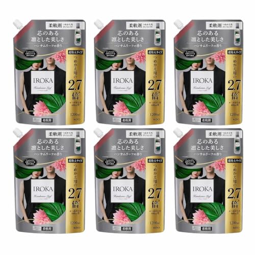 �y6�Z�b�g�zIROKA �C���J �n���T�����[�t�̍��� �_��� 1200ml