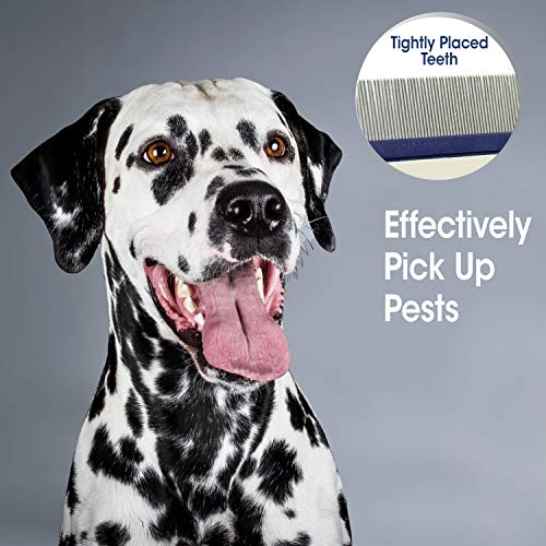 Four Paws Magic Coat Professional Series Grooming Brushes for Dogs & Cats l Trimmers, Nail Clippers, & Brushes Dog & Cat - Image 4