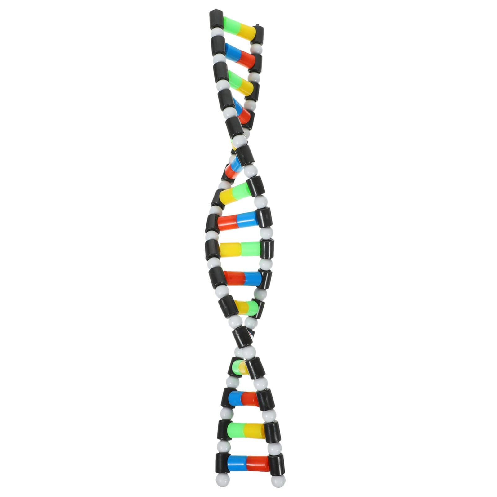iplusmile DNA Model Double Helix Model DNA Model Kit DNA Display Component for Science Teaching