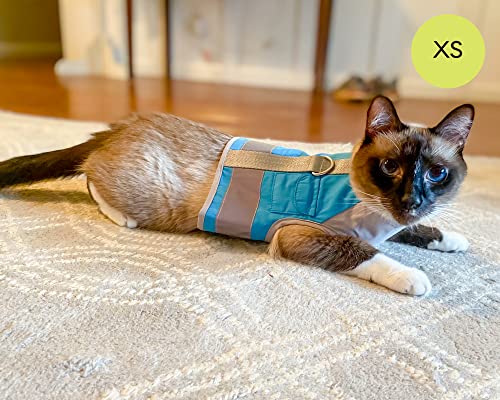 CAT SCHOOL Cat Harness and Leash Set for Outdoor Walks, Training, and Travel - Secure, Soft, Comfort