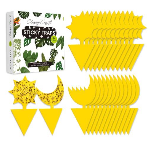 Classy Casita Yellow Sticky Traps - Fungus Gnat Trap, Gnat Traps for House Indoor, Insect Catcher...