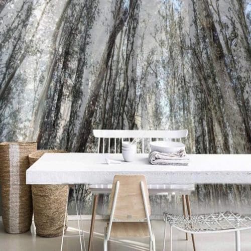 Mural pared grande 3D para ampliar salones oscuros y tapar imperfecciones 5