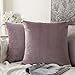 MIULEE Federe Cuscini Arredo Divano Copricuscini Soggiorno Federe Arredamento Casa Moderni Elegante Morbido Resistente in Velluto con la Cerniera Invisibile 2 Pezzi Rosa Viola 40X40 CM