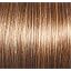 GL11-25 Honey Pecan