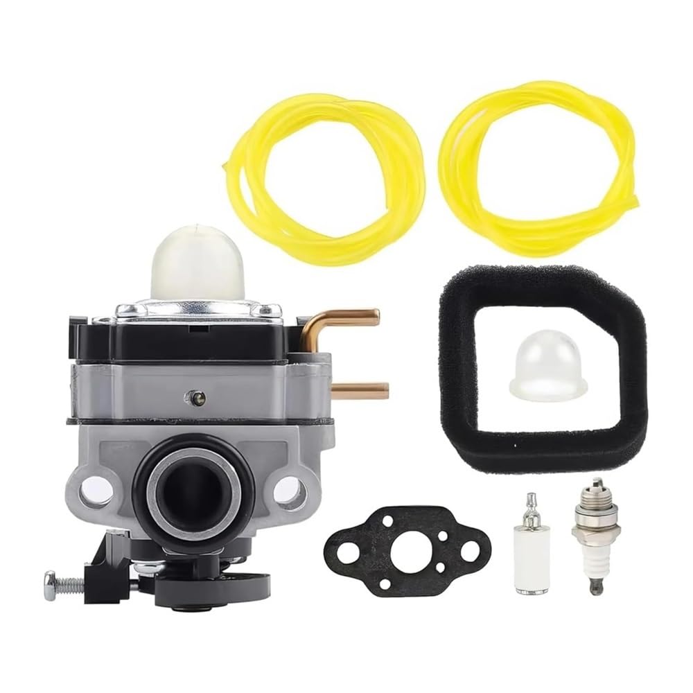 Carburateur RY251PH RY254BC kit pièces de rechange moteur 2 cycles