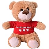 Ein flauschiger Teddy Bear aus hochwertigen Plüsch Stoff gefertigt und mit einem auffälligen roten Bär T-Shirt ausgestattet das einen persönlichen Spruch enthält.