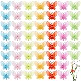 SOFPLATE 70 Stück Orchideen Clips SchmetterlingOrchideen Clips Klein Großpackung Acryl Kunststoff Farbenfroh Transparent Niedliche Pflanzenclips Für Orchideen Blumenn Gemüse Tomaten Stängel Ranken