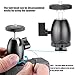 Neewer Mini Tripod Ball Head Mount, 1/4 inch Screw with Phone holder, Lock and Hot Shoe Mount Adapter Compatible with Compact DSLR Camera, LED Light,Ring Light,Load Up to 4.4 pounds/2 kilograms