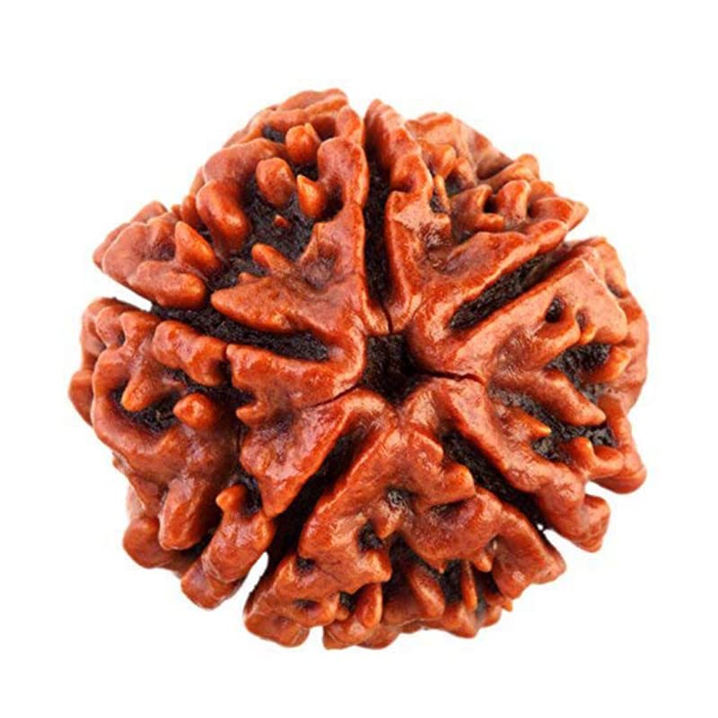 See full amazon price history chart for Svgaj Natural 5 Mukhi Rudraksha With Govt. Lab Report & Guarantee Certificate | No Heated - No Treated, Original & Real Nepal Rudraksh (Brown) For Astrology Benefits | By Svgaj Natural 5 Mukhi Rudraksha With Govt. Lab Report & Guarantee Certificate | No Heated - No Treated, Original & Real Nepal Rudraksh (Brown) For Astrology Benefits | By (B0BDVBB1F4) Amazon Price History, Amazon Price Tracker