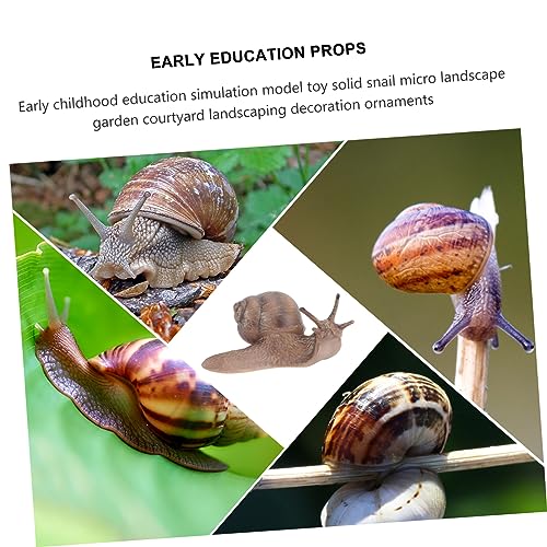 FOMIYES 2 Peças Caracol Micro Paisagem Brinquedos Infantis Artesanato De Caracol Brinquedo De Caraco