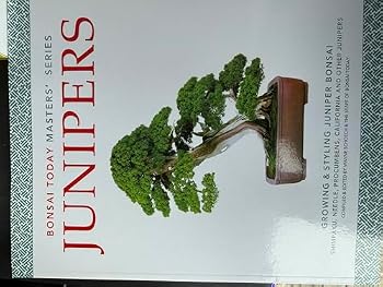 Hardcover Junipers: Growing & Styling Juniper Bonsai (Bonsai Today Masters Series) Book