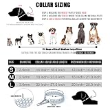 JanToPet Hundehalsband, Edelstahl, verstellbar, Gehhalsband, Metall, kubanische Glieder, Hundehalsband, kaufest, dreireihig, Kette, Hundehalsband für große, kleine, mittelgroße Hunde (3 Reihen, S)