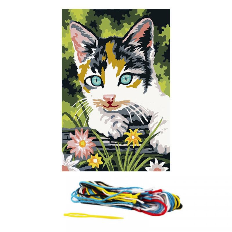 Kit Canevas Chaton gris et blanc - 35