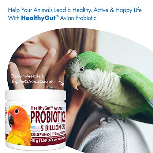 Healthygut™ Avian Probiotics Dietary Supplement For Parrots, All-Natural Digestive System Formula (120 Servings) #TOP5