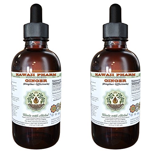 Ginger Alcohol-Free Liquid Extract, Organic Ginger (Zingiber Officinale) Dried Root Glycerite Hawaii Pharm Natural Herbal Supplement 2X4 Oz #TOP14