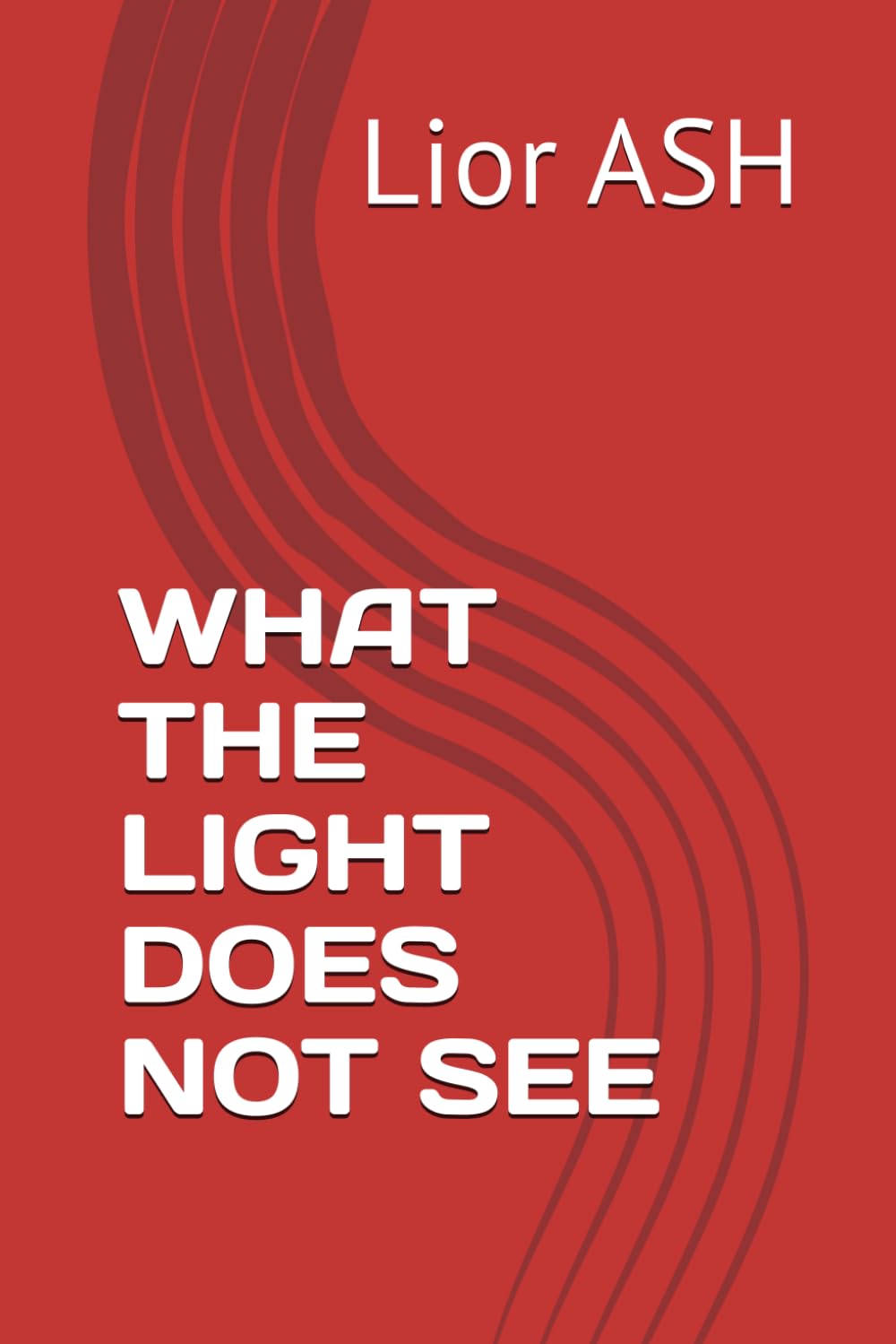 WHAT THE LIGHT DOES NOT SEE
