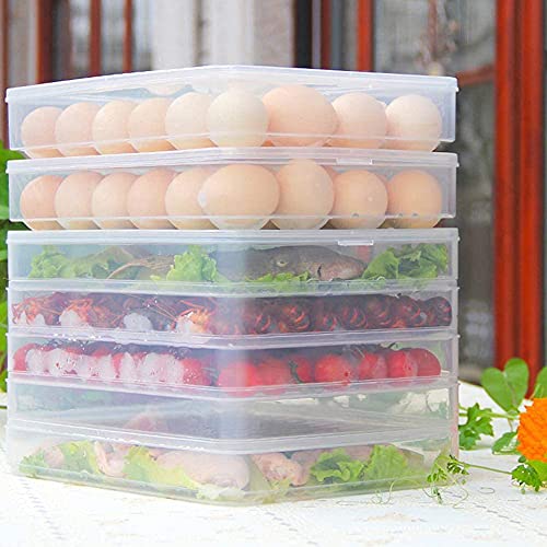 Contenitore per Uova, 34 Griglie Portauovo in