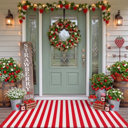 Moucuny Red and White Striped Outdoor Rug Strawberry Season 2 x 3 Rug Front Porch Door Mat Welcome Layering Rustic Washable Doormat for Strawberry Themed Party Entryway Farmhouse Decor