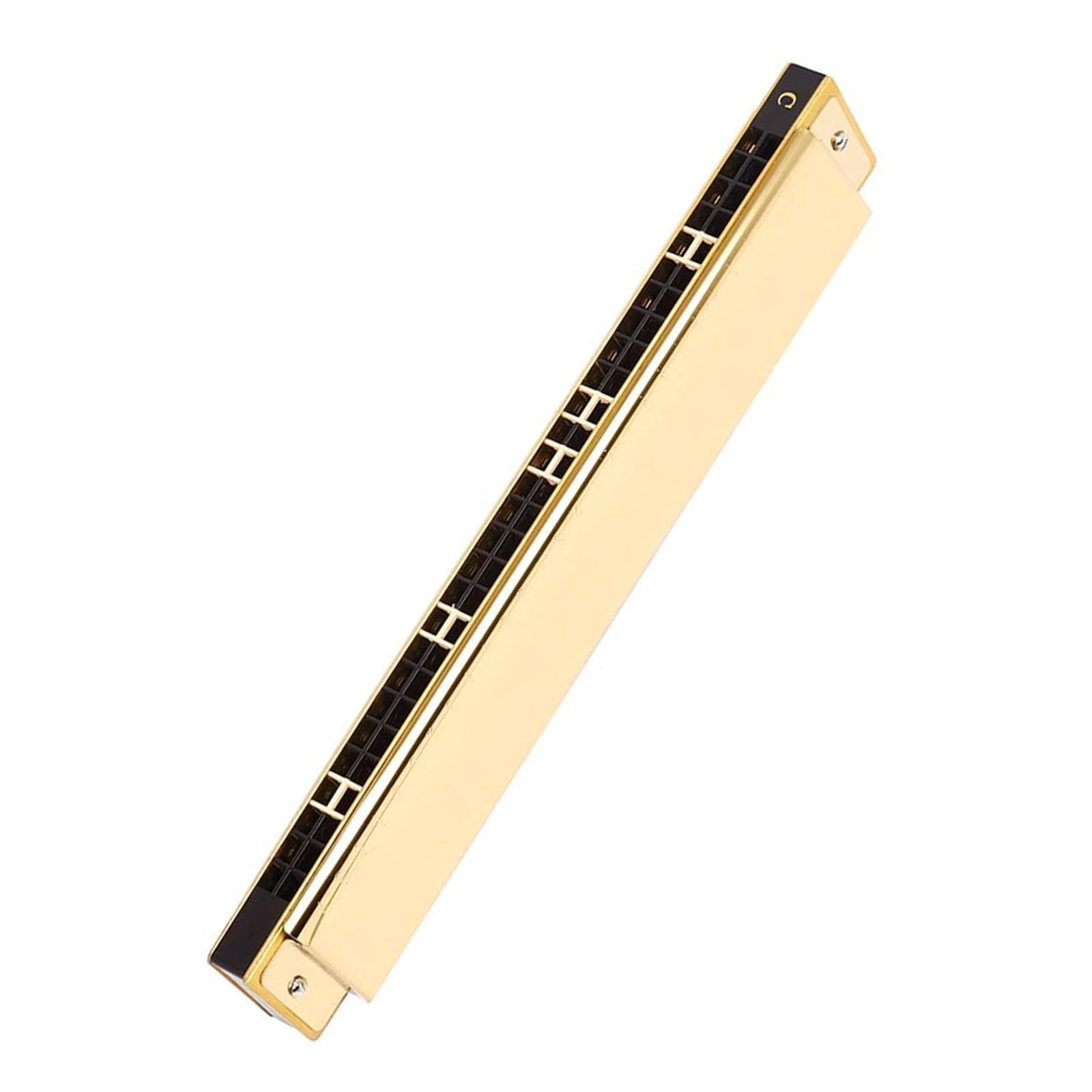 Diatonische Mundharmonikas C Mundharmonika Musikinstrument für Anfänger und Erwachsene