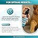 LeAcademic Cat Wound Care Spray is Perfect with Cat Cone | Nano Silver + Chlorhexidine in the Composition | Bites, Scratches, Redness, Irritation, and Sutures After Surgery | 4 Oz
