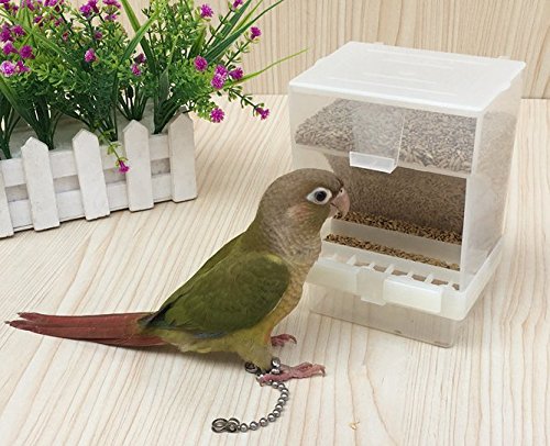 Top 10 Feeder For Cockatiels Of 2020 Best Reviews Guide