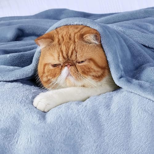 Image of VAS COLLECTIONS Premium Plush Double Blanket | 300 GSM Lightweight Cozy Soft for Bed, Sofa, Couch, Travel & Camping| 220X230 Cm Or 86X90 Inches | New