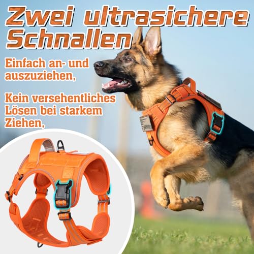 rabbitgoo Hundegeschirr mittelgroße Hunde, Anti Zug Geschirr Hund Verstellbar mit Griffe Verbreitert, Robust und Verschleißfest, Taktisches Hundegeschirr mit Metallschnallen zum Wandern(M, Orange)