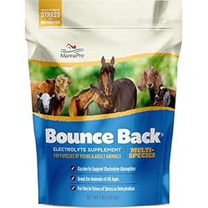 Manna Pro Bounce Back Electrolyte, 4 lb