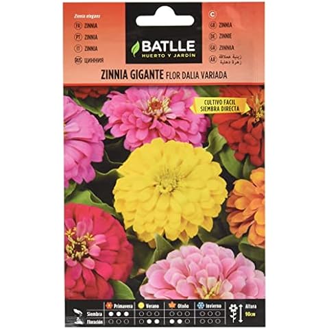 Semillas Batlle - Zinnia GIGANTE flor DALIA vda Cover
