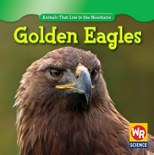 Golden Eagles (Animals That Live in the Mountains)