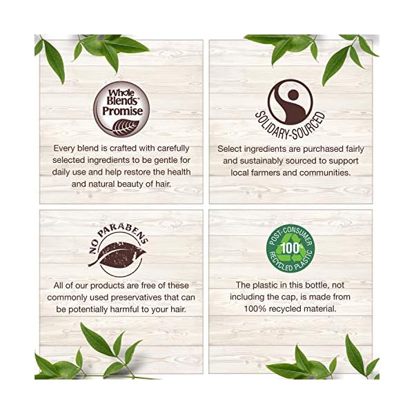 Garnier Whole Blends Honey Treasures Repairing Shampoo, Conditioner + Miracle Nectar Leave-In Set for Dry, Damaged Hair (3 Items), 1 Kit (Packaging May Vary)