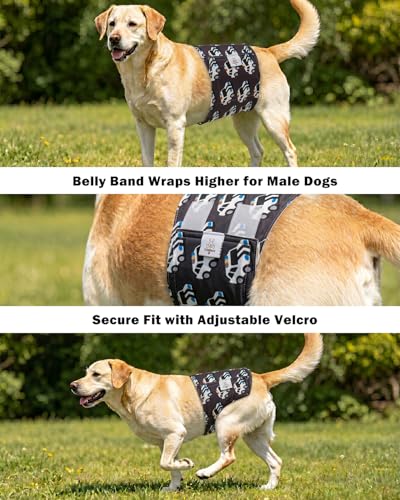 Image of CuteBone Dog Diapers Male Belly Bands 3 Pack for Male Dogs Reusable Puppy Wraps
