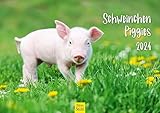 INNOVATIVES DESIGN: unser junges Kreativteam entwirft unsere Produkte mit viel Liebe für schönes Design.