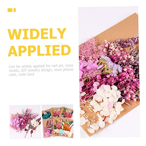 Kit de flores secas para manualidades y decoración miniatura 5