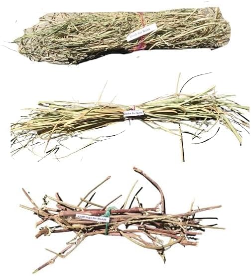 Navgrah Pooja Havan ki Lakdi - Navgrah Haawan Samiiidha - Navgrah Lakdi - Navgrah Lakdi for Hawaan, Medium, Brown