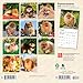 Pomeranians | 2026 7 x 14 Inch (Hanging) Monthly Mini Wall Calendar | BrownTrout | Animals Small Dog Breeds