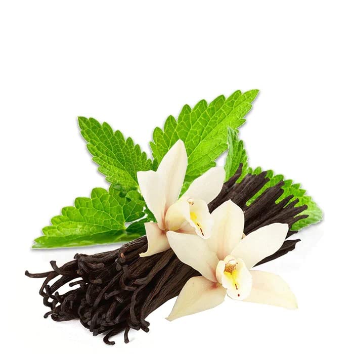 Adesse New York Sugar Mint Lip Scrub, Exfoliating, Vegan, Cruelty Free, Paraben Free 0.45 oz.