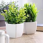4 Stück Kunstpflanze mit Topf, Klein Künstlich Plastik Pflanze Deko, Deko Pflanzen Kunststoff Gefälschte Pflanzen, kunstpflanze für Schreibtisch, Wohnzimmer, Büro und Badezimmer Deko – Bild 4
