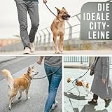 Personalisierte Hundeleine 1,2 m oder 1,7 m Länge (leicht dehnbar) extrem hochwertig verarbeitet | Tauleine für Hunde | Führleine mit Namen (ANTHRAZIT, 170 cm)