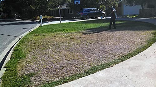 Miniatura 4 de Colorante para césped premezclado, 5 galones, respetuoso con el medio ambiente, aspecto natural, pintura de césped verde, listo para aplicar,