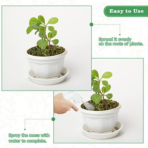 17.6 Oz Large Capacity Artificial Moss For Potted Plants,Natural Artificial Moss Grass For Fake Plants Indoor,Craft Moss And Greenery Bulk,Forest Moss For Hamsters(Fresh Green) #TOP3