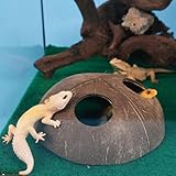 Reptilienhöhle Aus Natürlicher Kokosnuss – Versteck & Schlafplatz Für...