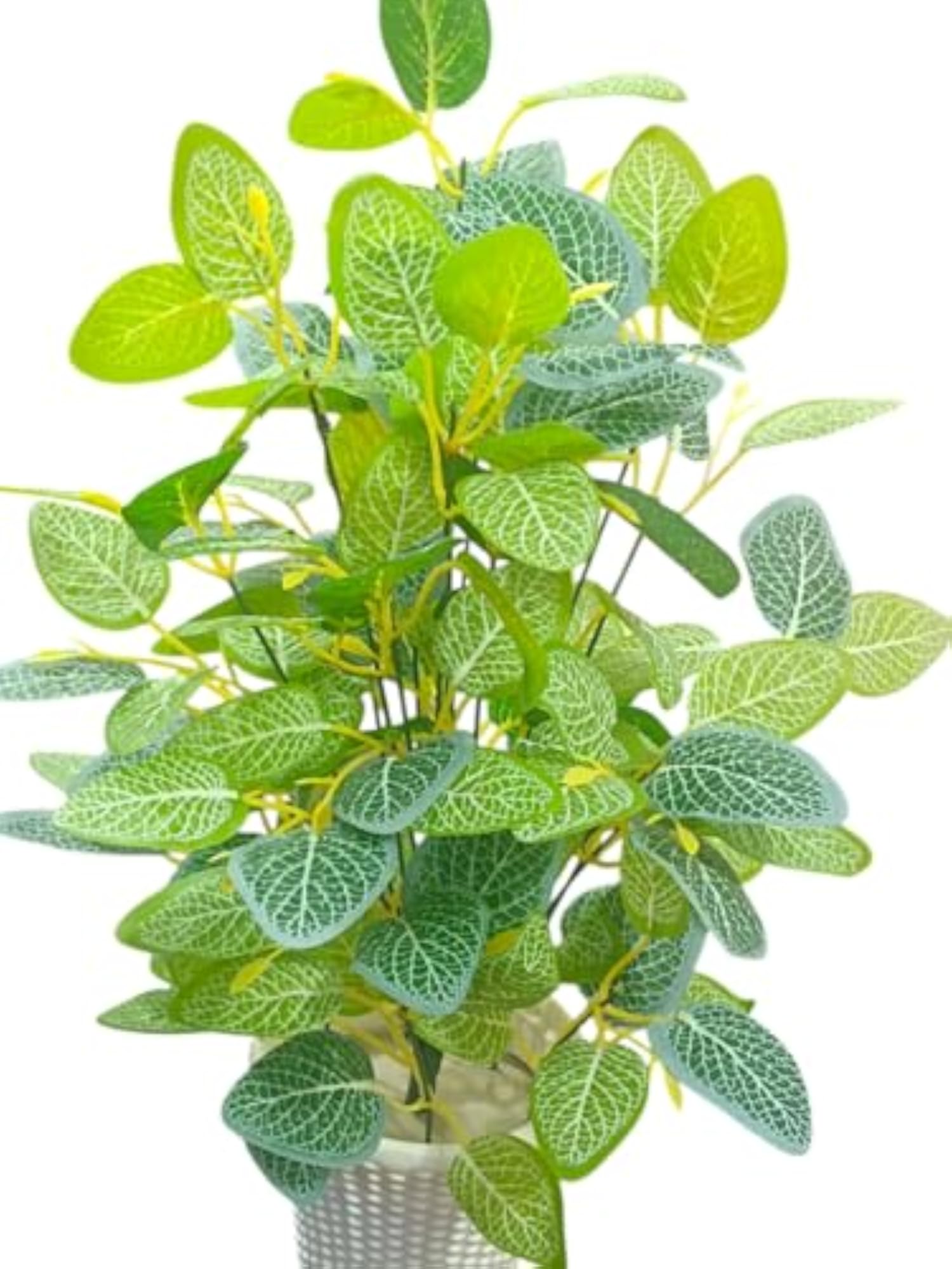 Artificial Green Leaf Money Plant with Plastic Pot