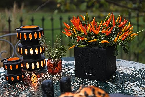 LECHUZA CANTO Stone 14 hochwertiger Kräuterwürfel mit Stick-Bewässerungssystem, graphitschwarz