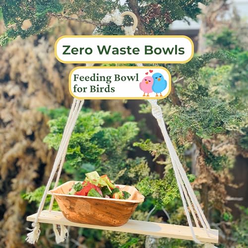 5-inch Square Palm Leaf Bowls Set (50) | 15 Oz Bamboo Disposable Bowls | Leak Proof Compostable Serving Bowls for Fruit, Cereal, Soup | Eco Friendly Alternative to Plastic Bowls